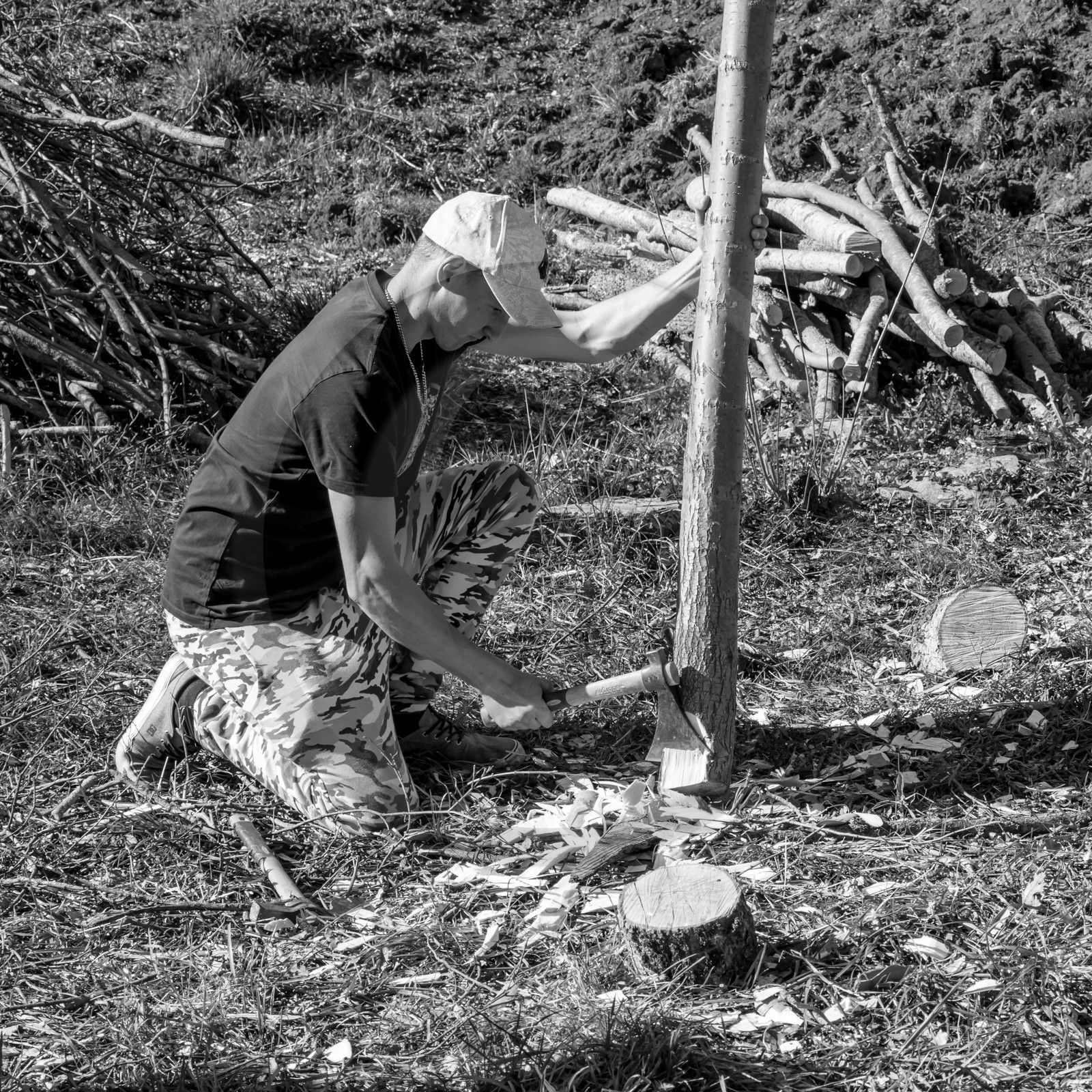 Nettoyage du terrain - Coupe du bois - 29 03 17