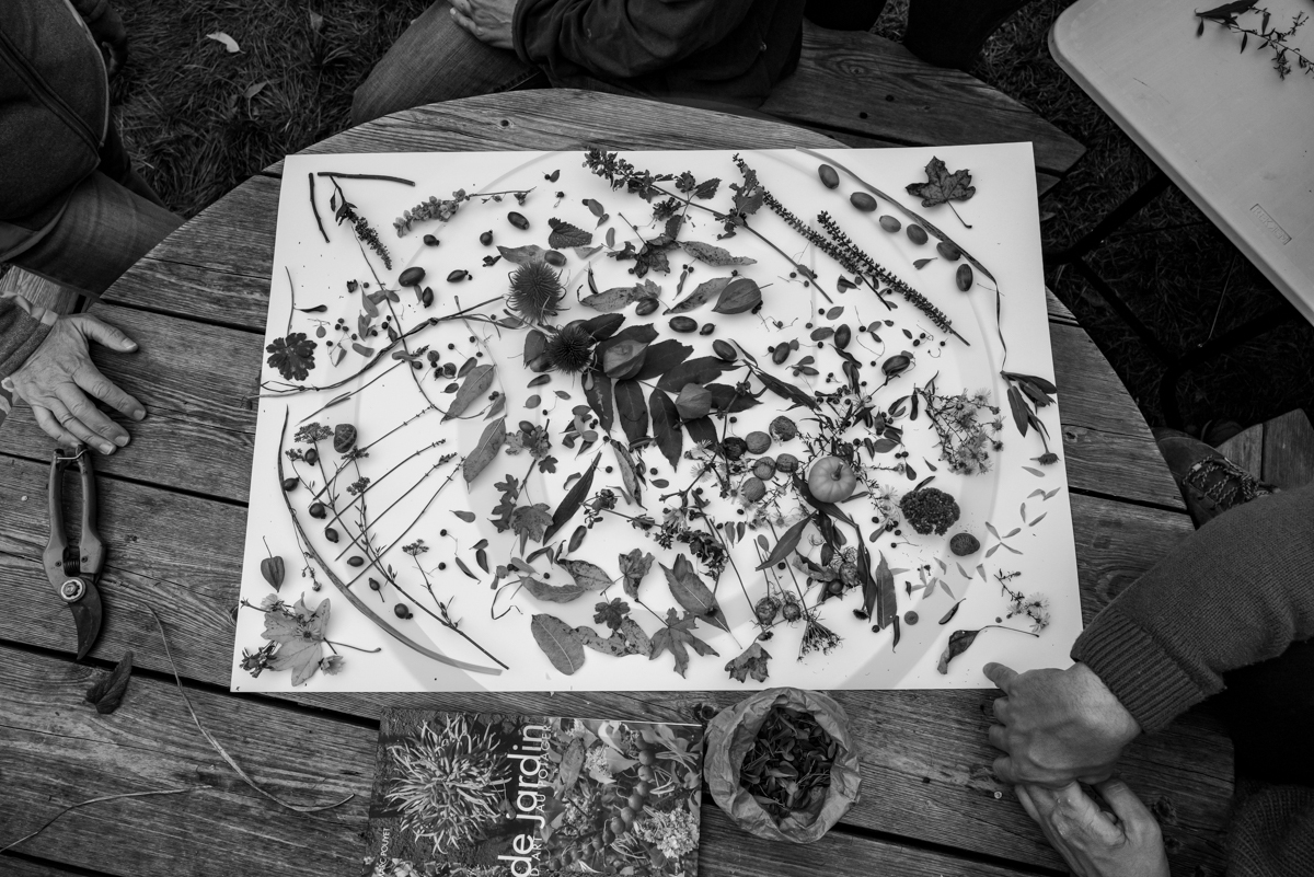 12 octobre 2022 : Land Art à l'Ouort