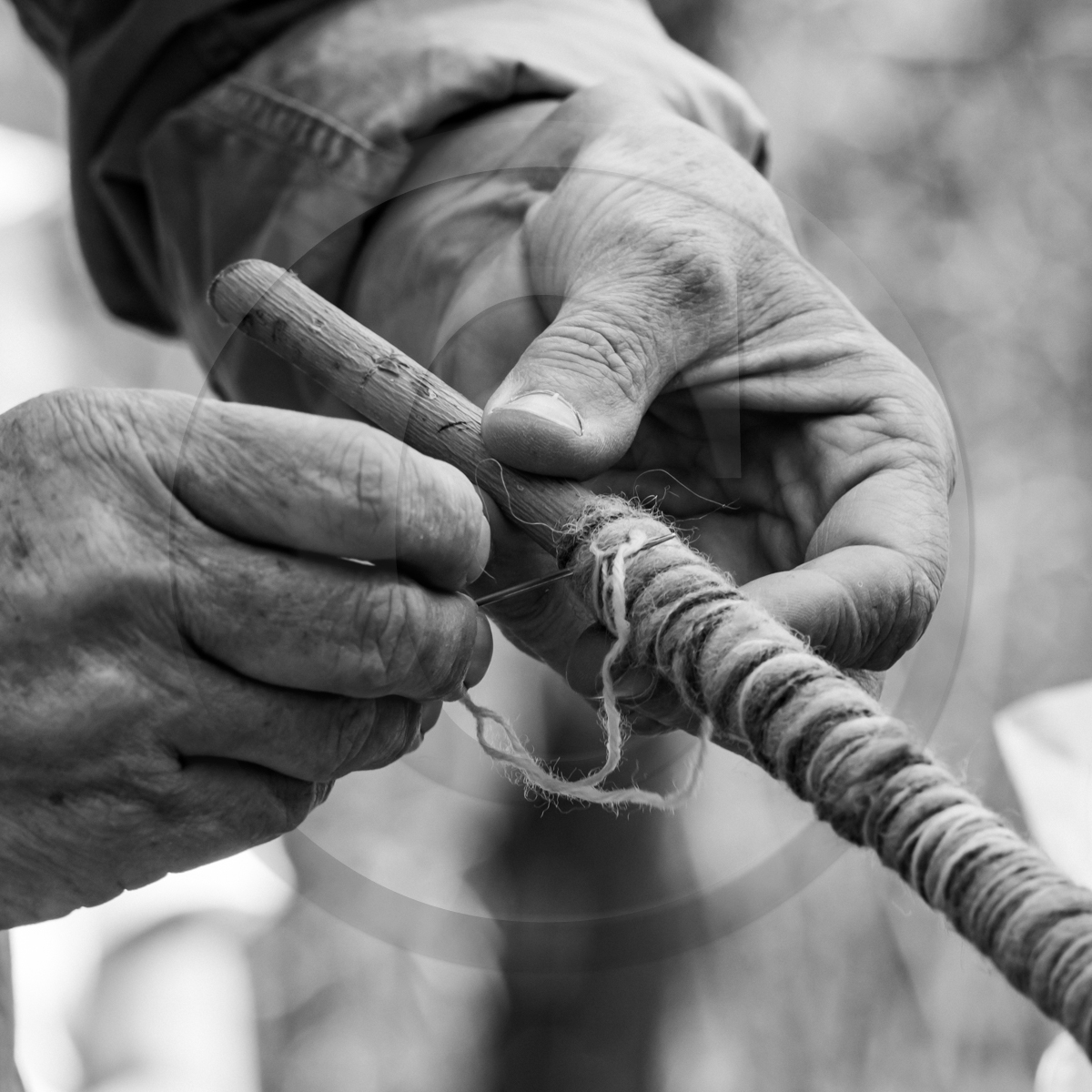 Atelier laine et promenade au jardin