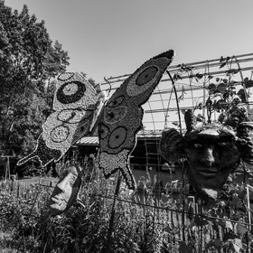 18 août 2021 : une journée avec l'APF