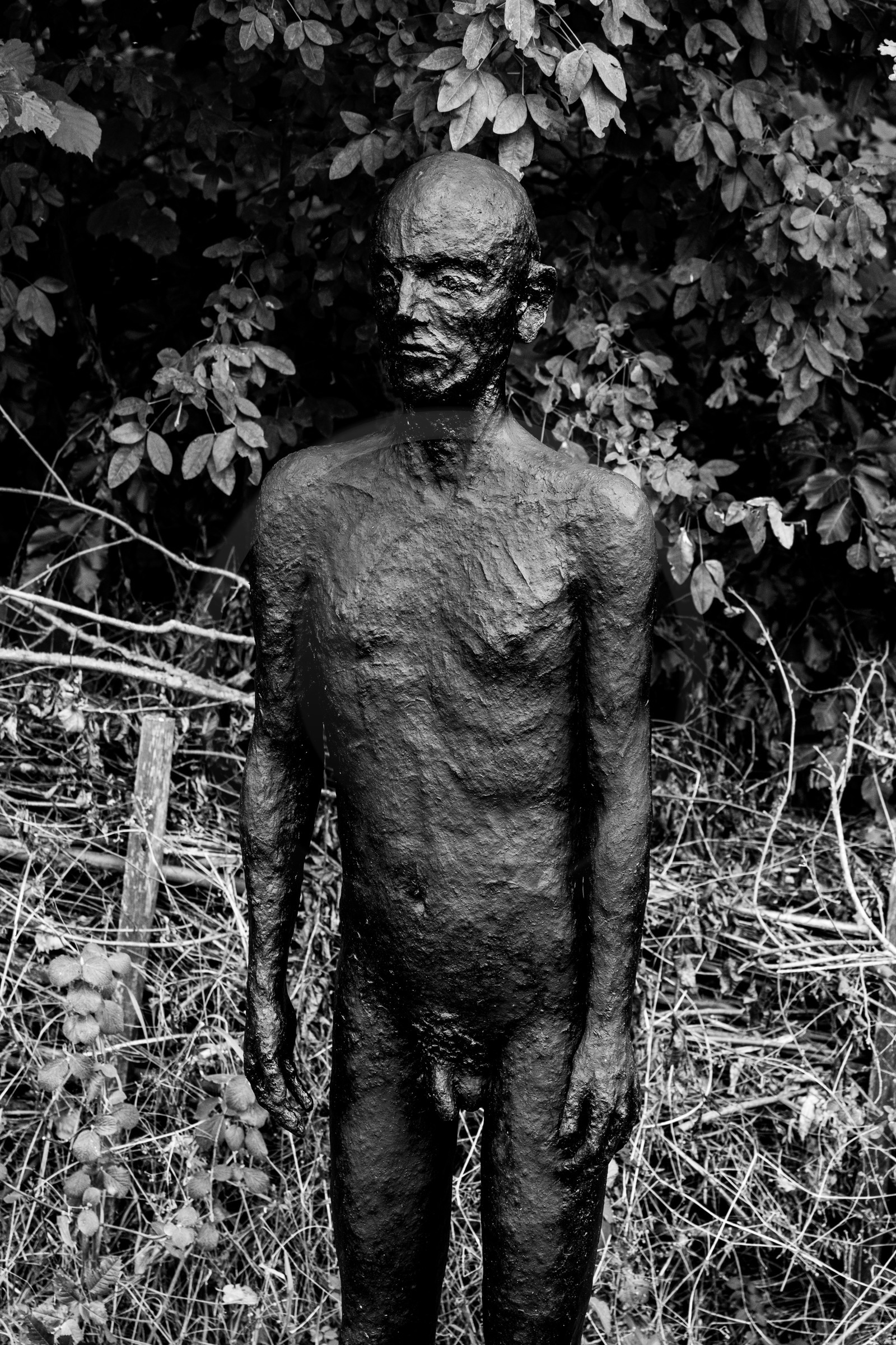 Exposition La forêt d'hommes, une création de Barbara Fougnon, artiste plasticienne Exposition La forêt d'hommes, une création de Barbara Fougnon, artiste plasticienne