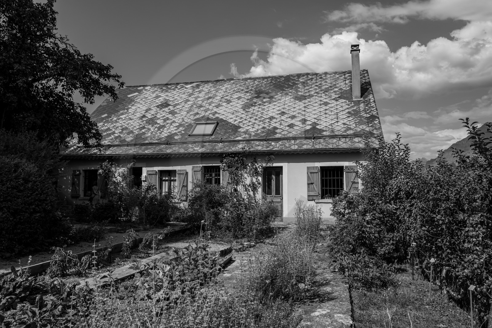 28 août 2024 : A la Maison de la Botanique du Noyer en Champsaur. Visite de l'exposition L comme laine, lien, lieu. Lectures par Les Colporteurs. Collages sur les photographies de Denis Lebioda