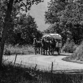 01 septembre 2021 : Promenade en cariole et contes