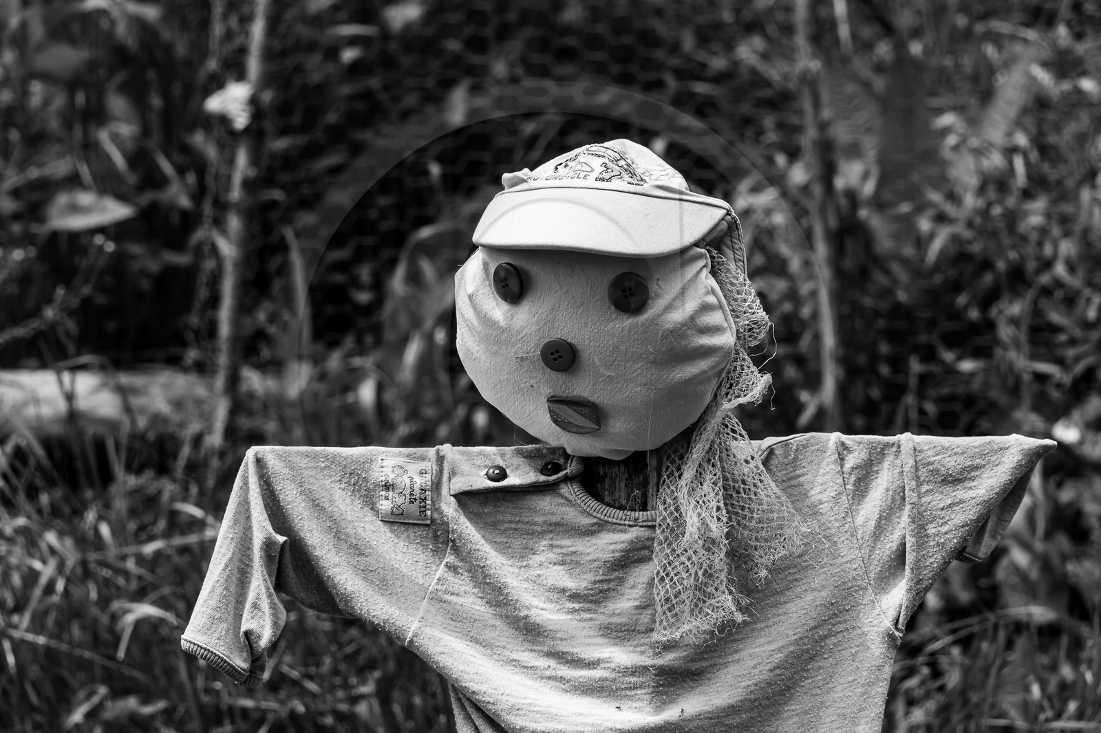 05 juin 2023 : journée des aidants et des aidés