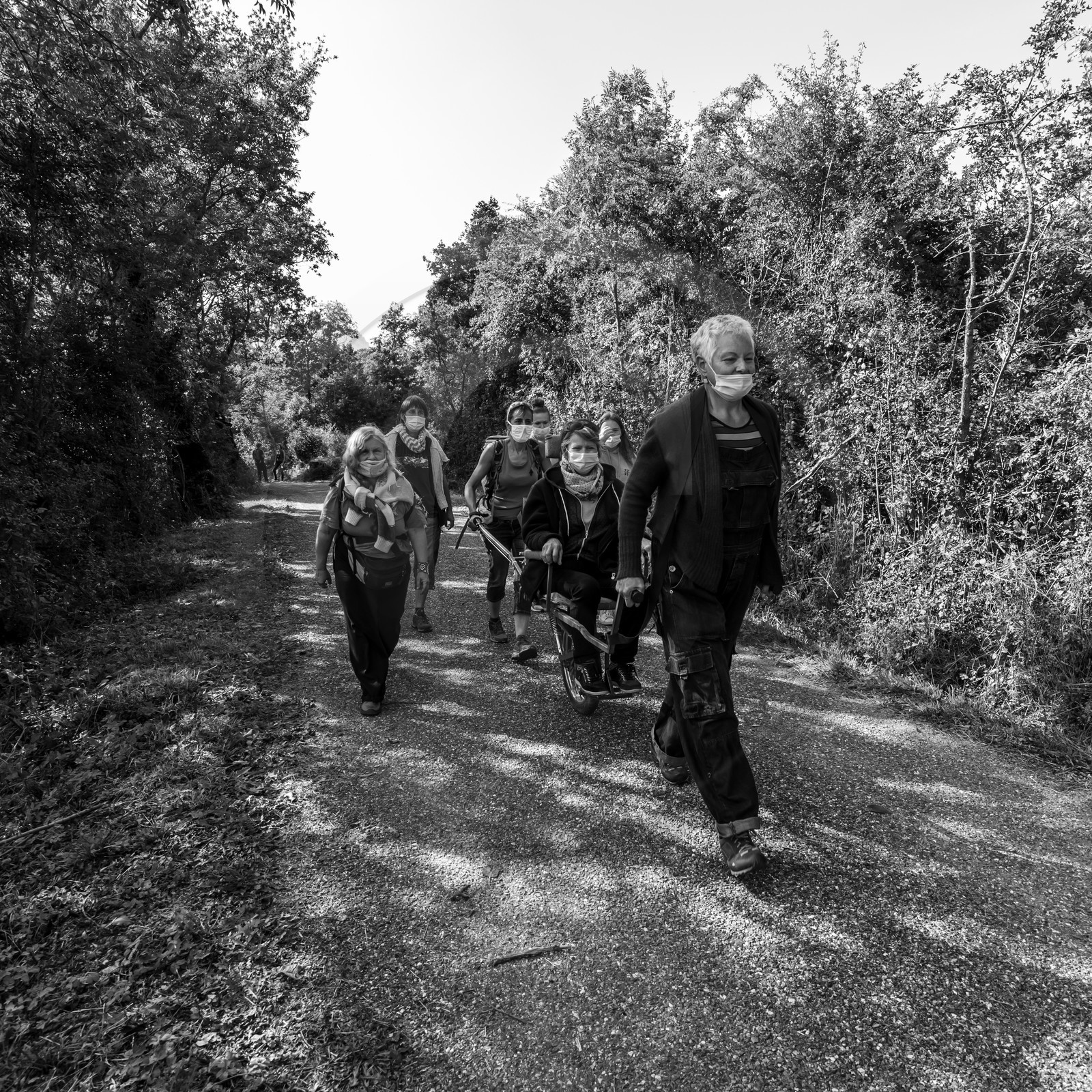 Promenade en joelette