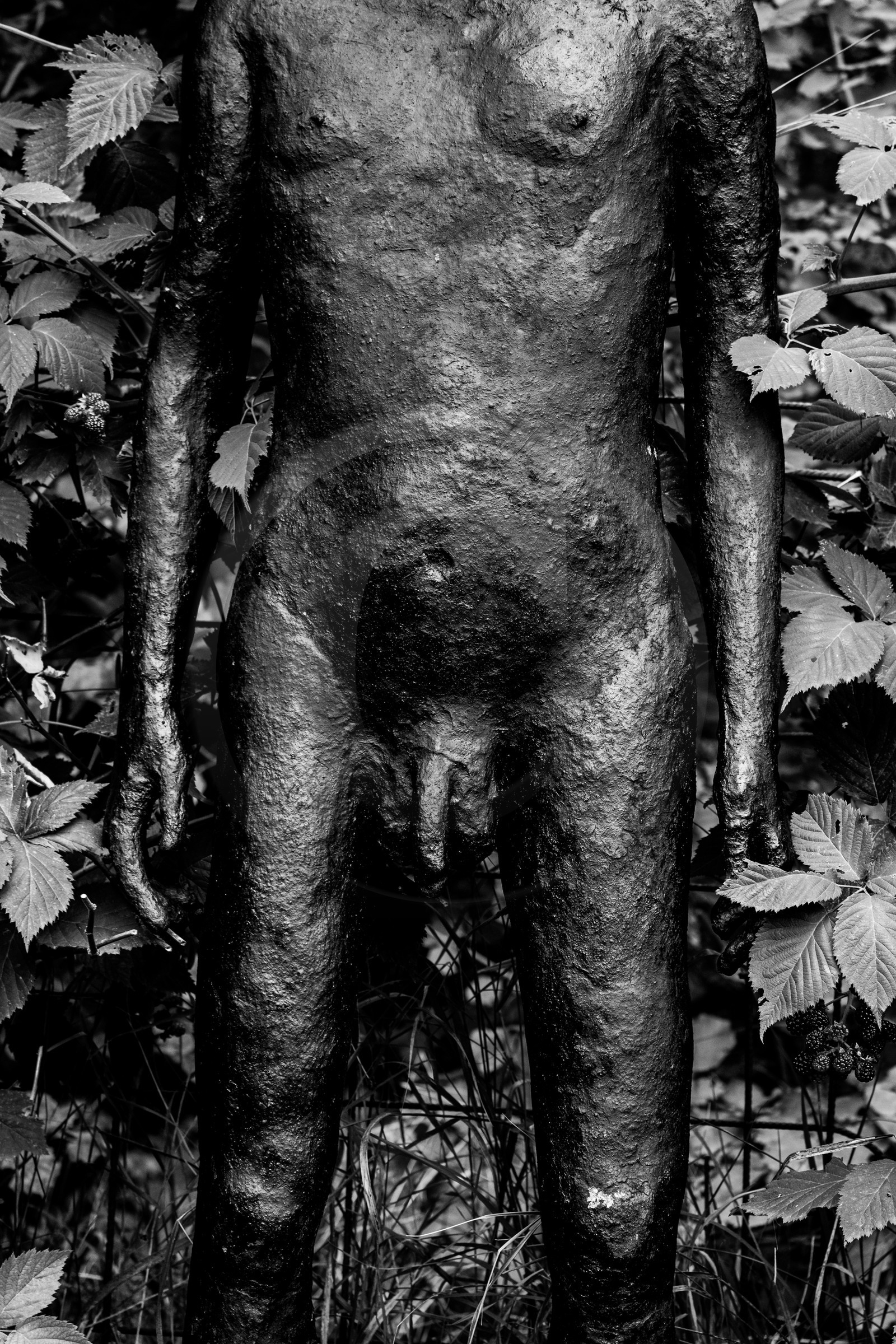 Exposition La forêt d'hommes, une création de Barbara Fougnon, artiste plasticienne