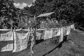 06 septembre 2023 : laine, couture et semis