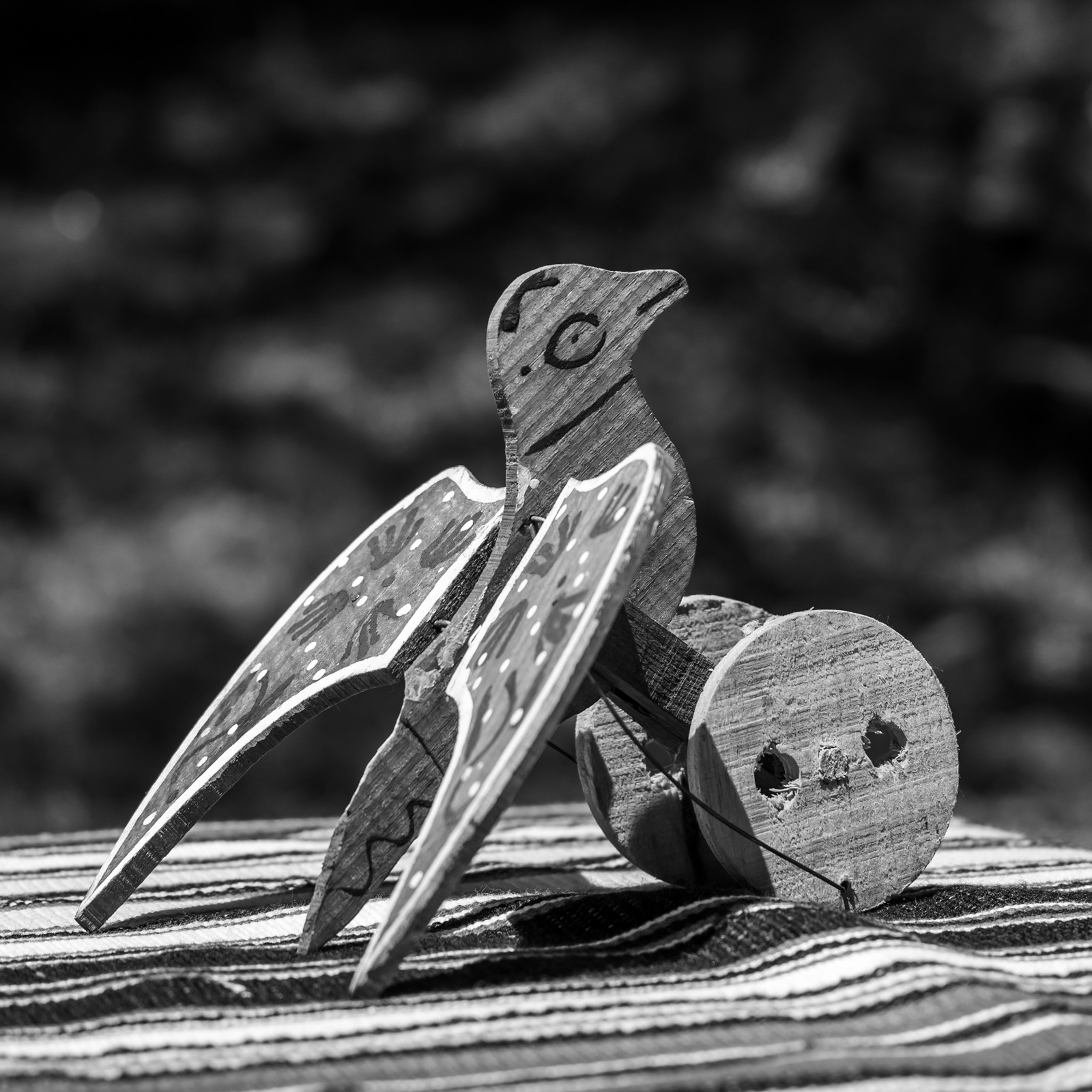 28 mai 2025 : Jeux, Osier, Photos, Jardinage...