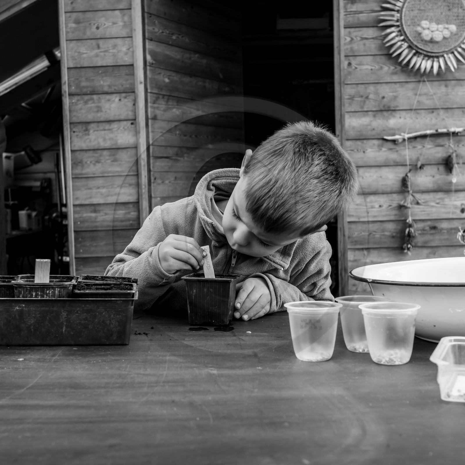 Semis, tournesols et jeux Semis, tournesols et jeux