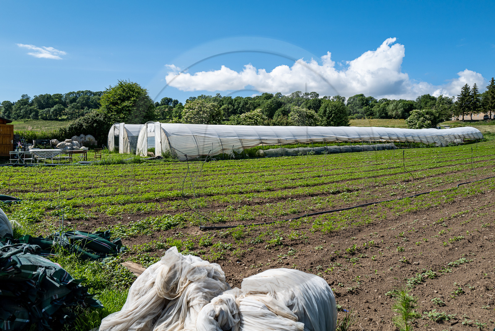 Légumontagne : maraichage biologique à Ancelle