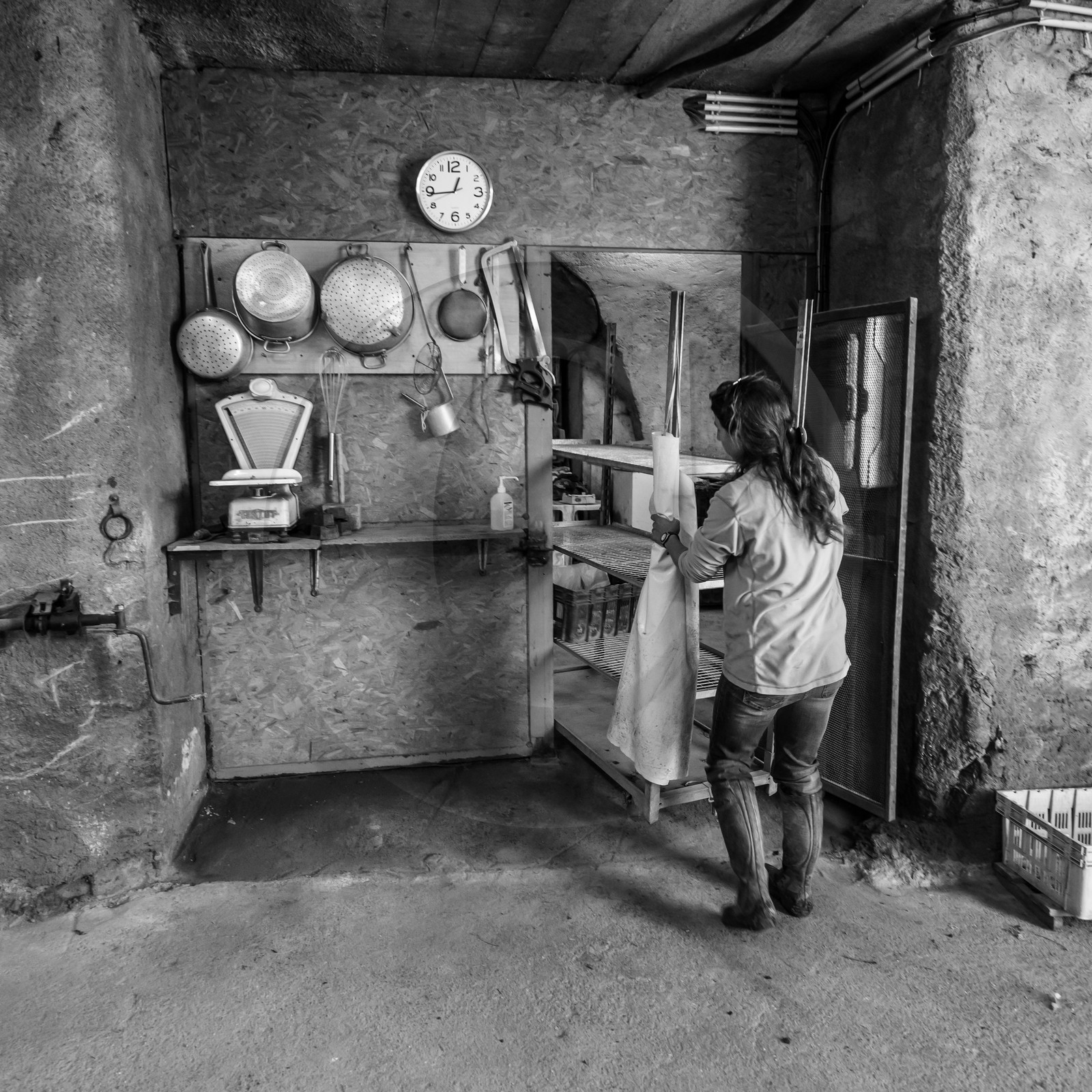 Maraichage biologique dans le Champsaur