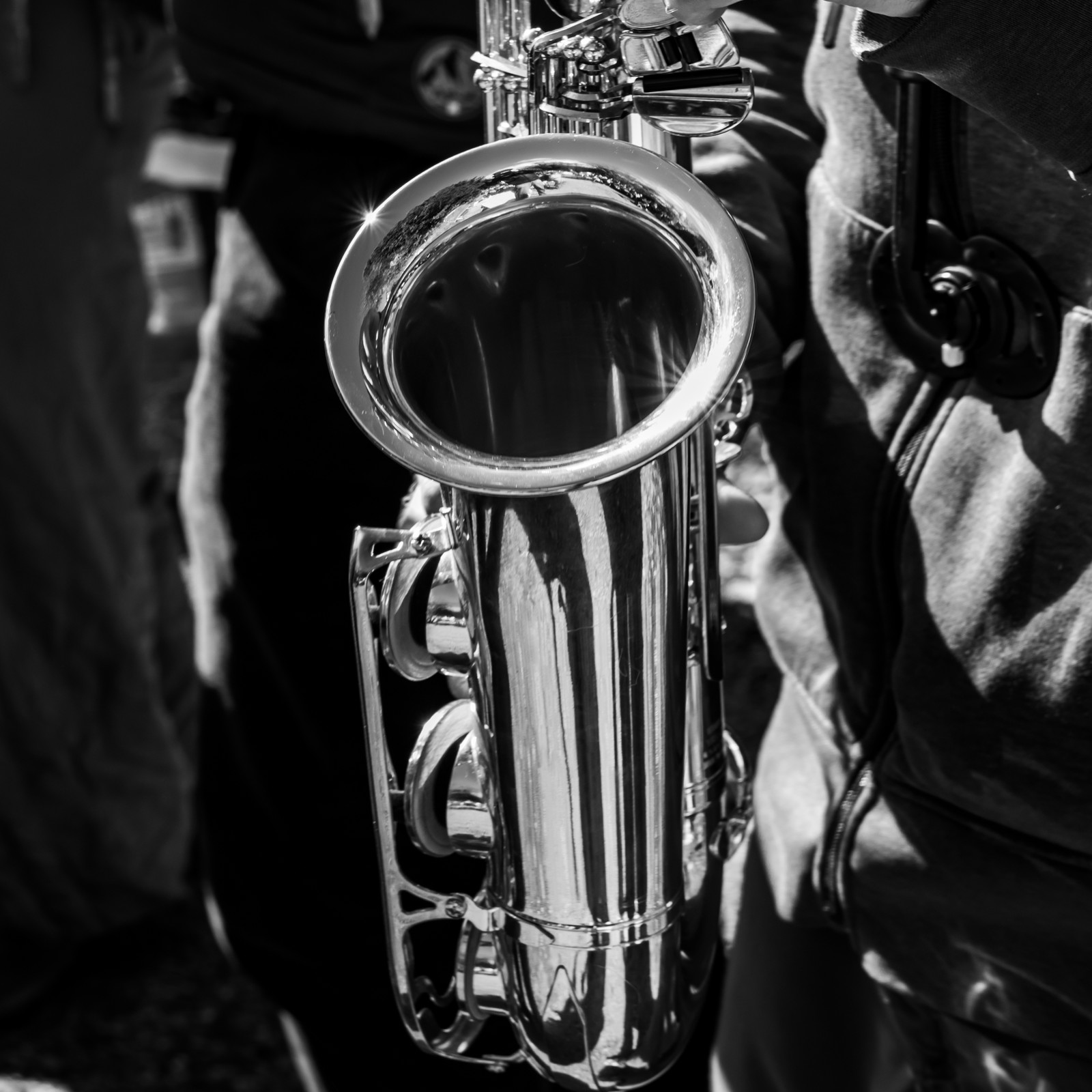 26 octobre 2025 : Les oiseaux de trottoir