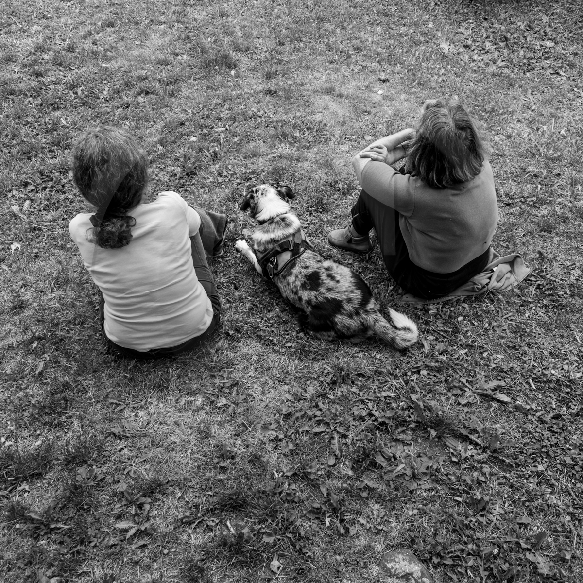 01 juin 2022 : des histoires et des jeux 01 juin 2022 : des histoires et des jeux