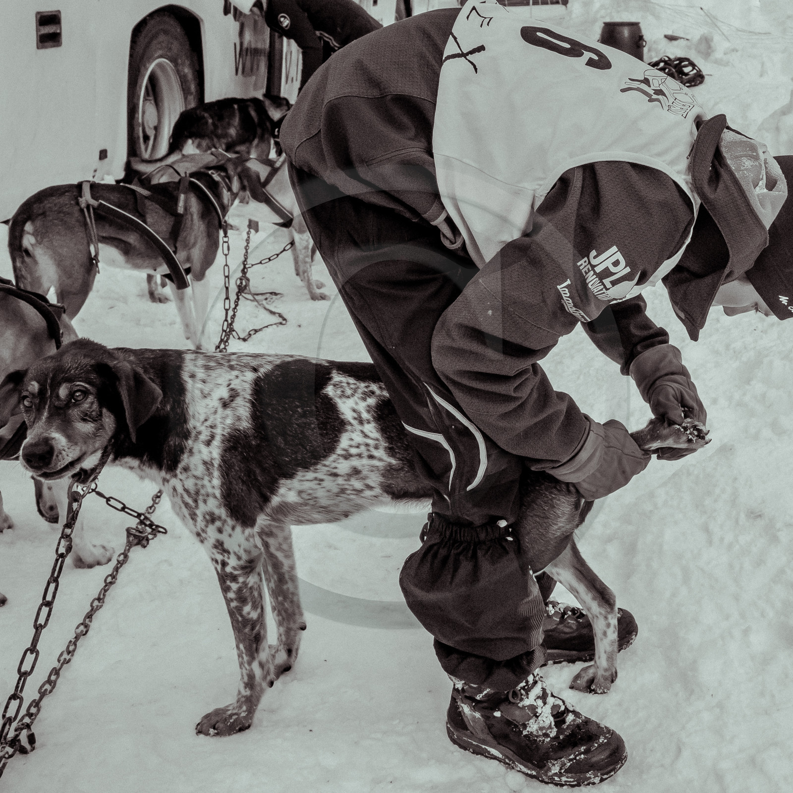 La Valgaude Traineau 2015 La Valgaude Traineau 2015