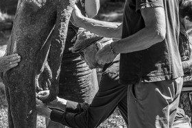 21 aout 2024 : Réalisation de Marcel Joli Coeur, l'homme de l'Ouort avec Barbara Fougnon, artiste plasticienne, et un anniversaire en chansons.