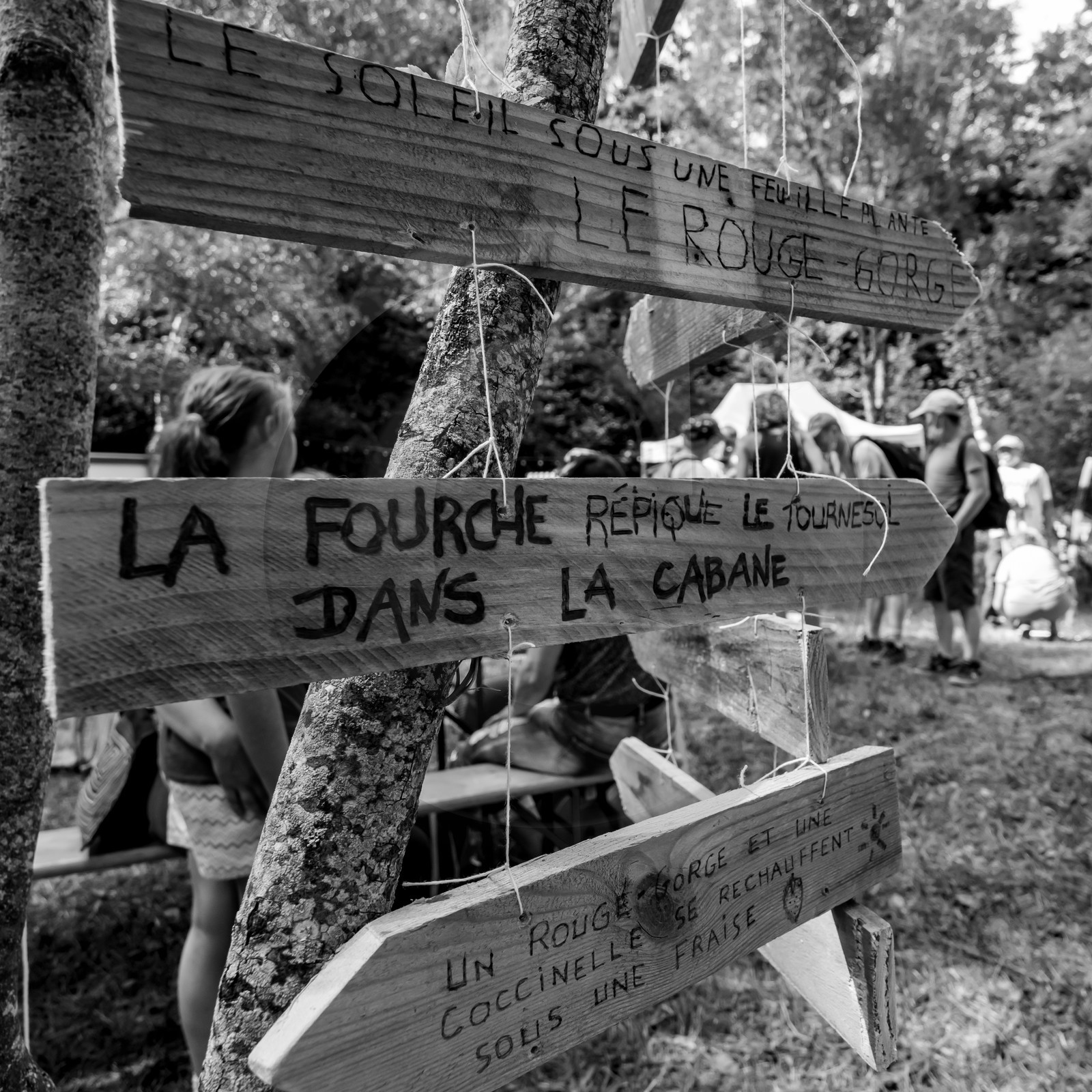 11, 12 et 13 août 2021 : L'Echo des Mots