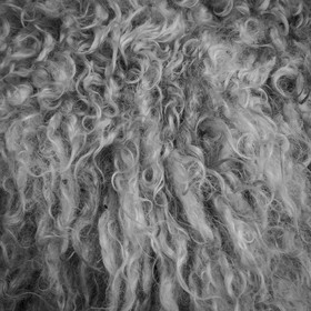 Le mohair arc en ciel