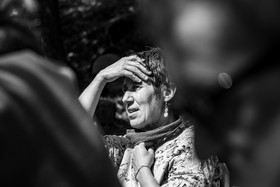 30 août 2023 : Lectures au jardin