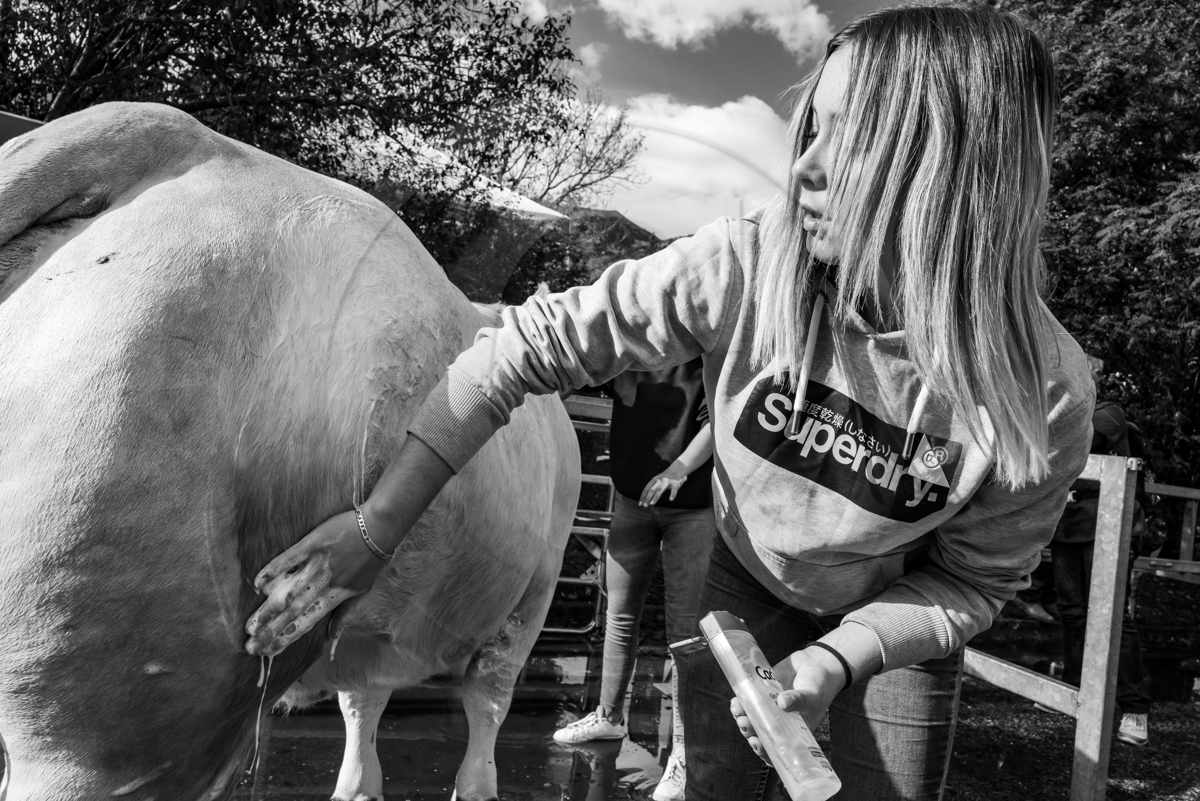 Rencontres paysannes à Saint-Bonnet en Champsaur