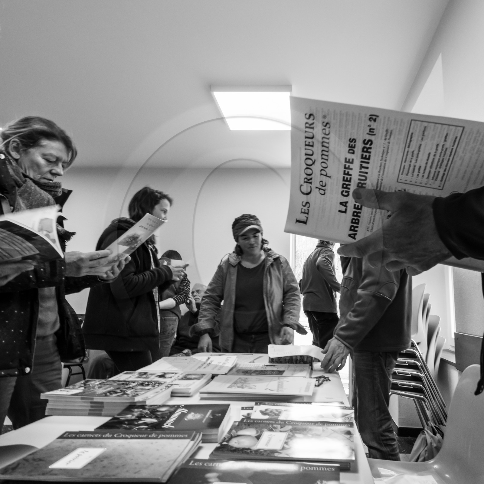 03 avril 2019 : Initiation à la greffe d'arbres fruitiers