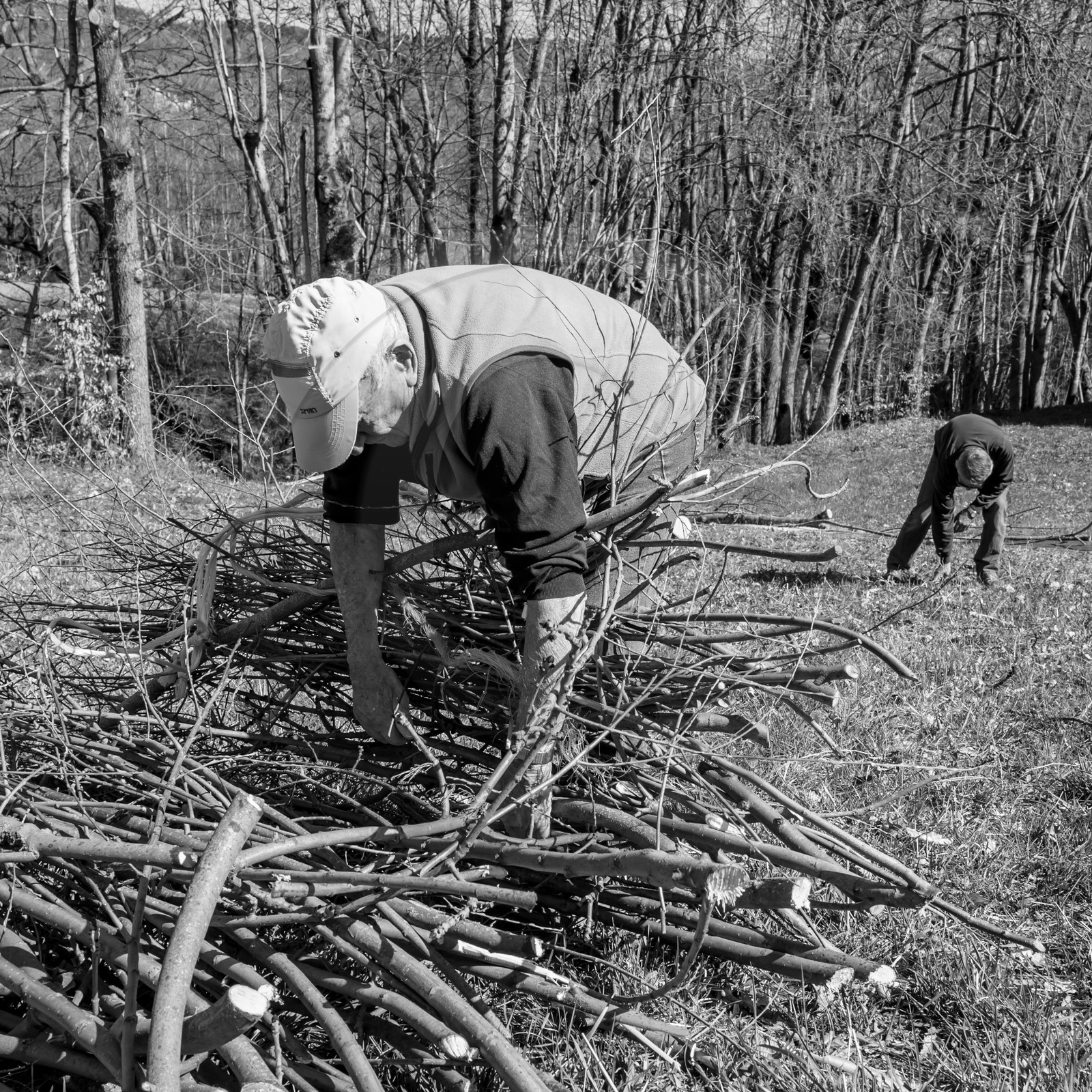 Nettoyage du terrain - Coupe du bois - 29 03 17