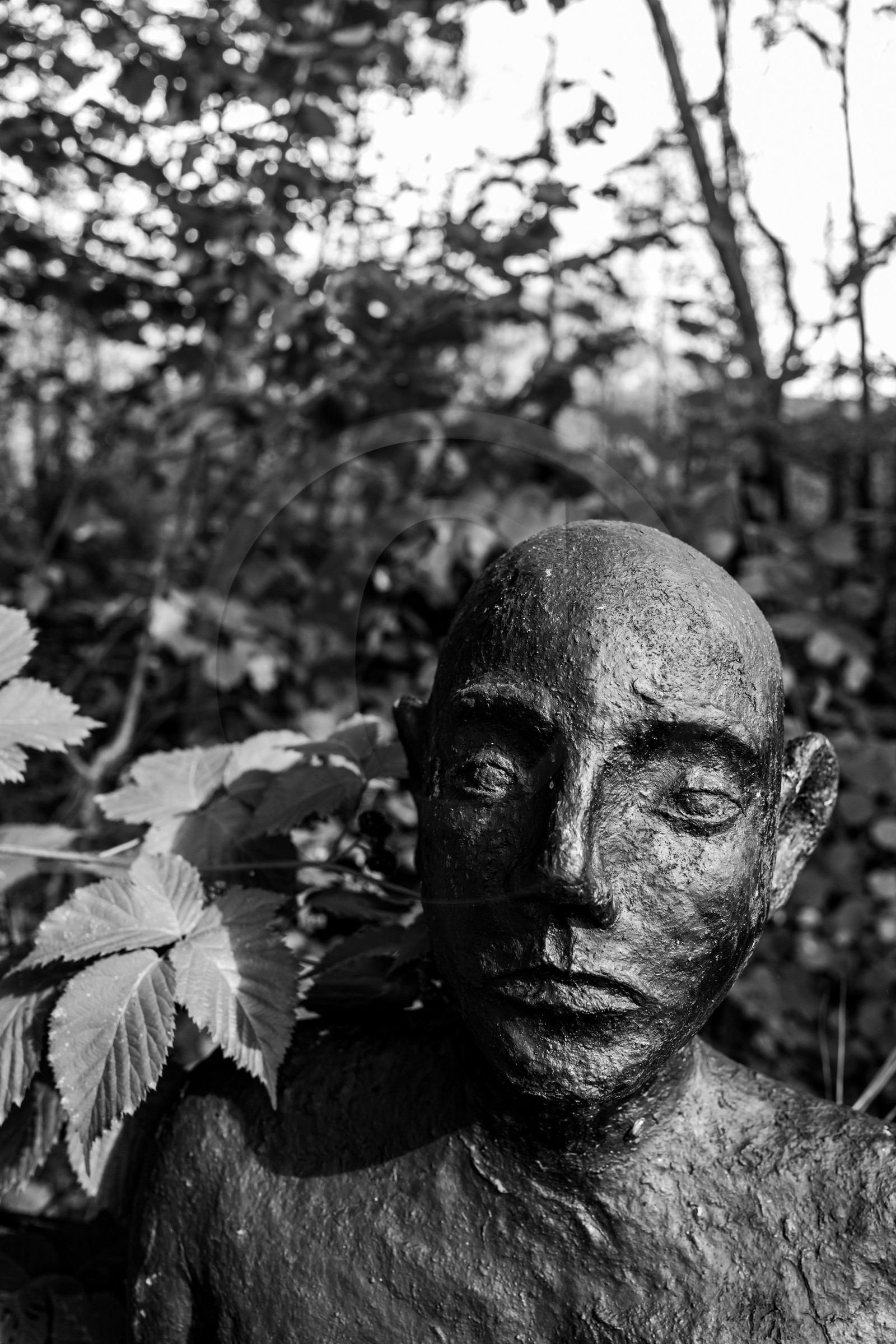 Exposition La forêt d'hommes, une création de Barbara Fougnon, artiste plasticienne