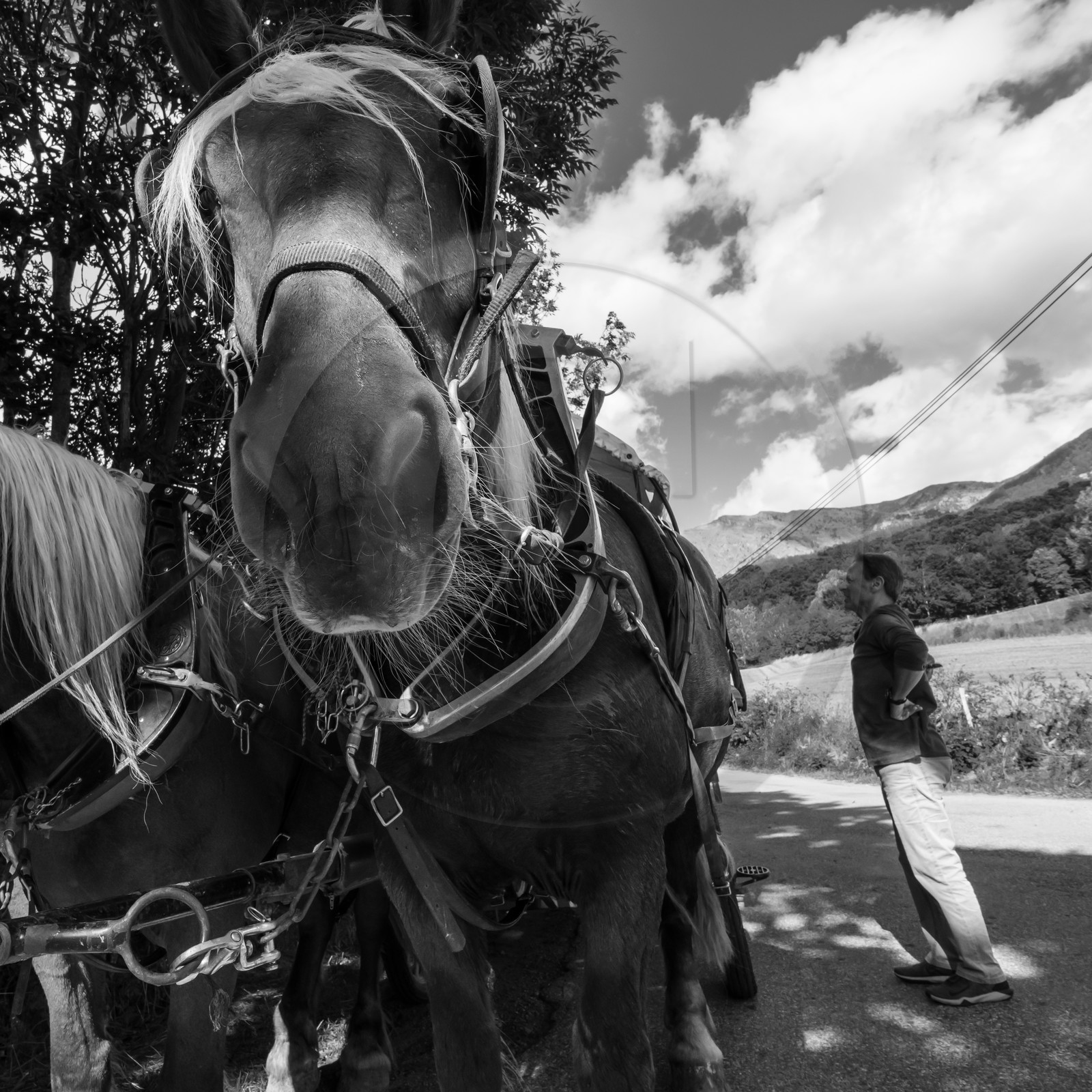 25 septembre 2019 : Promenade en calèche