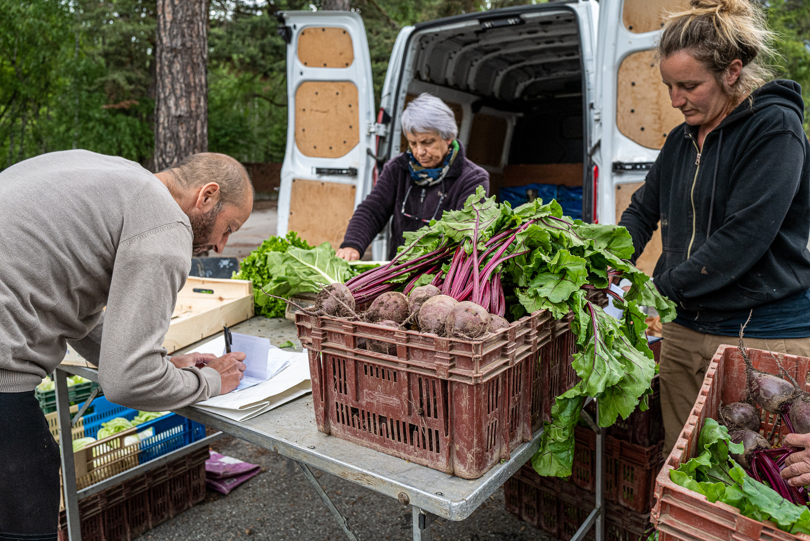 31 mai 2025 : AMAP du Champsaur - Distribution