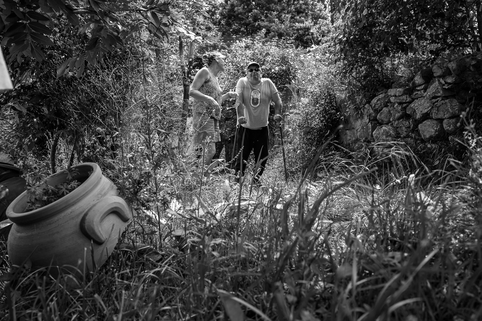 21 juin 2023 : Découverte botanique 21 juin 2023 : Découverte botanique