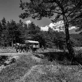 01 septembre 2021 : Promenade en cariole et contes