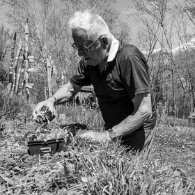 Atelier laine et promenade au jardin