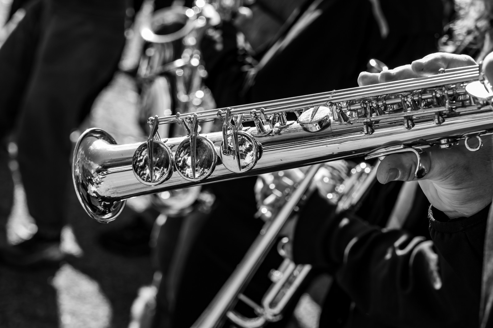 26 octobre 2025 : Les oiseaux de trottoir