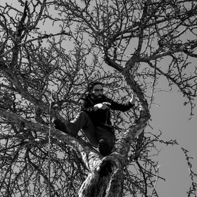 06 février 2019 : la pose des nichoirs