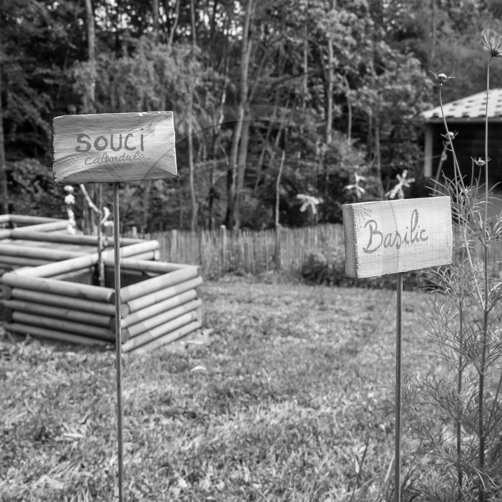Une après-midi au jardin Une après-midi au jardin