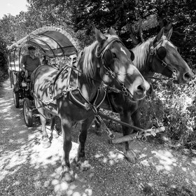 01 septembre 2021 : Promenade en cariole et contes