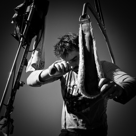 La tonte des moutons