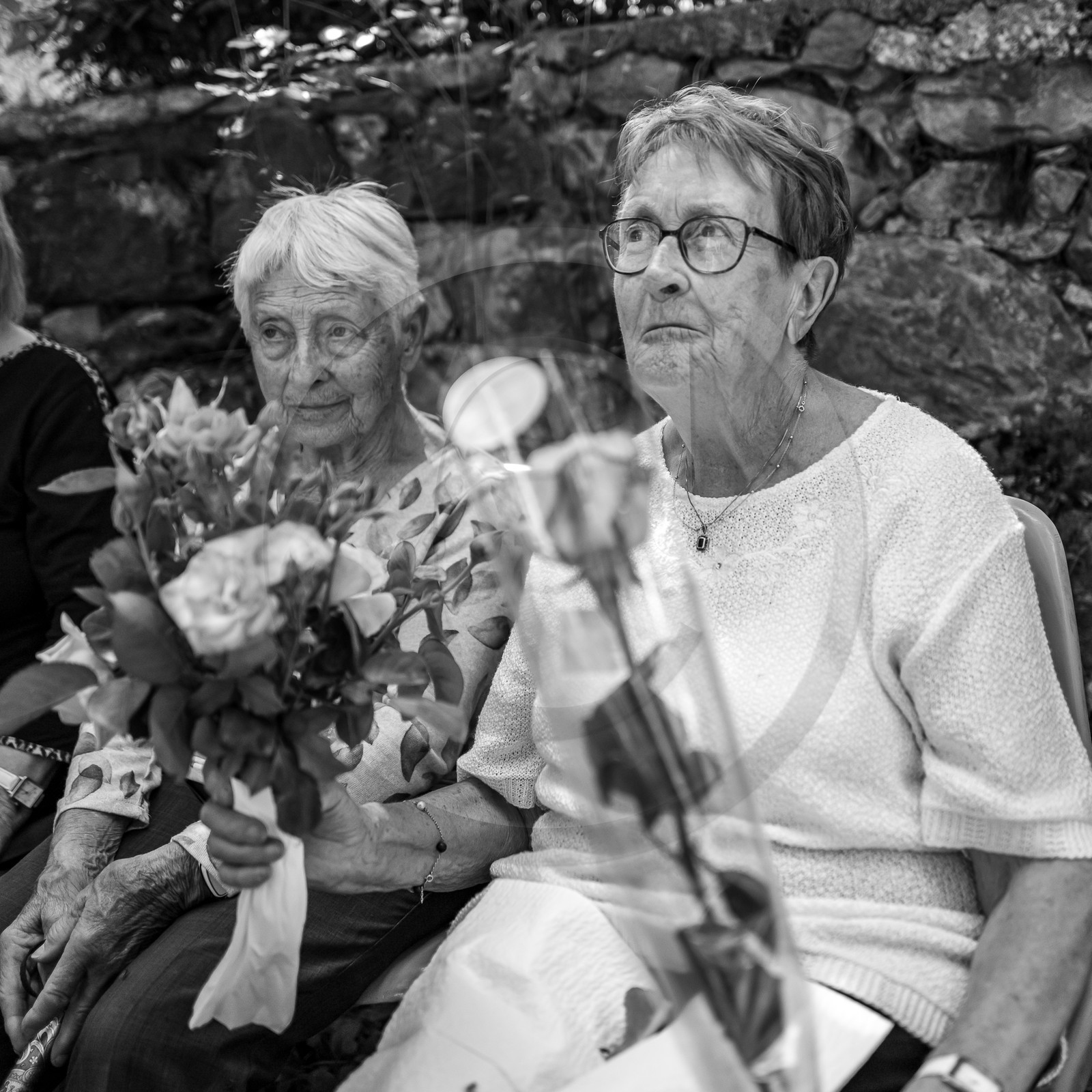 21 juin 2023 : Découverte botanique 21 juin 2023 : Découverte botanique