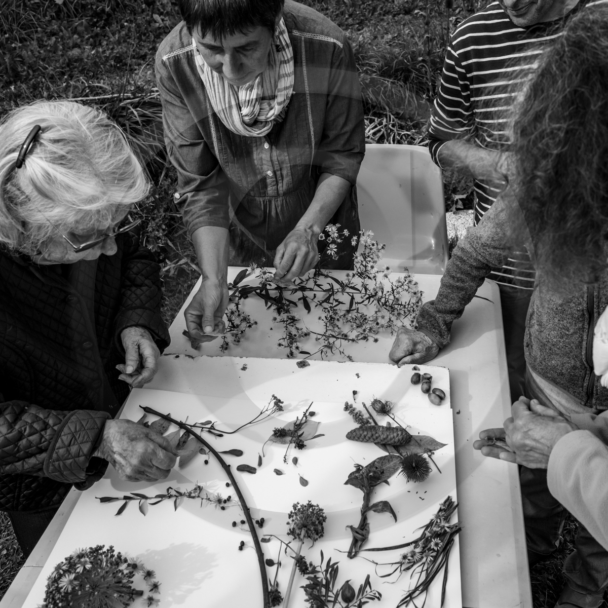 12 octobre 2022 : Land Art à l'Ouort
