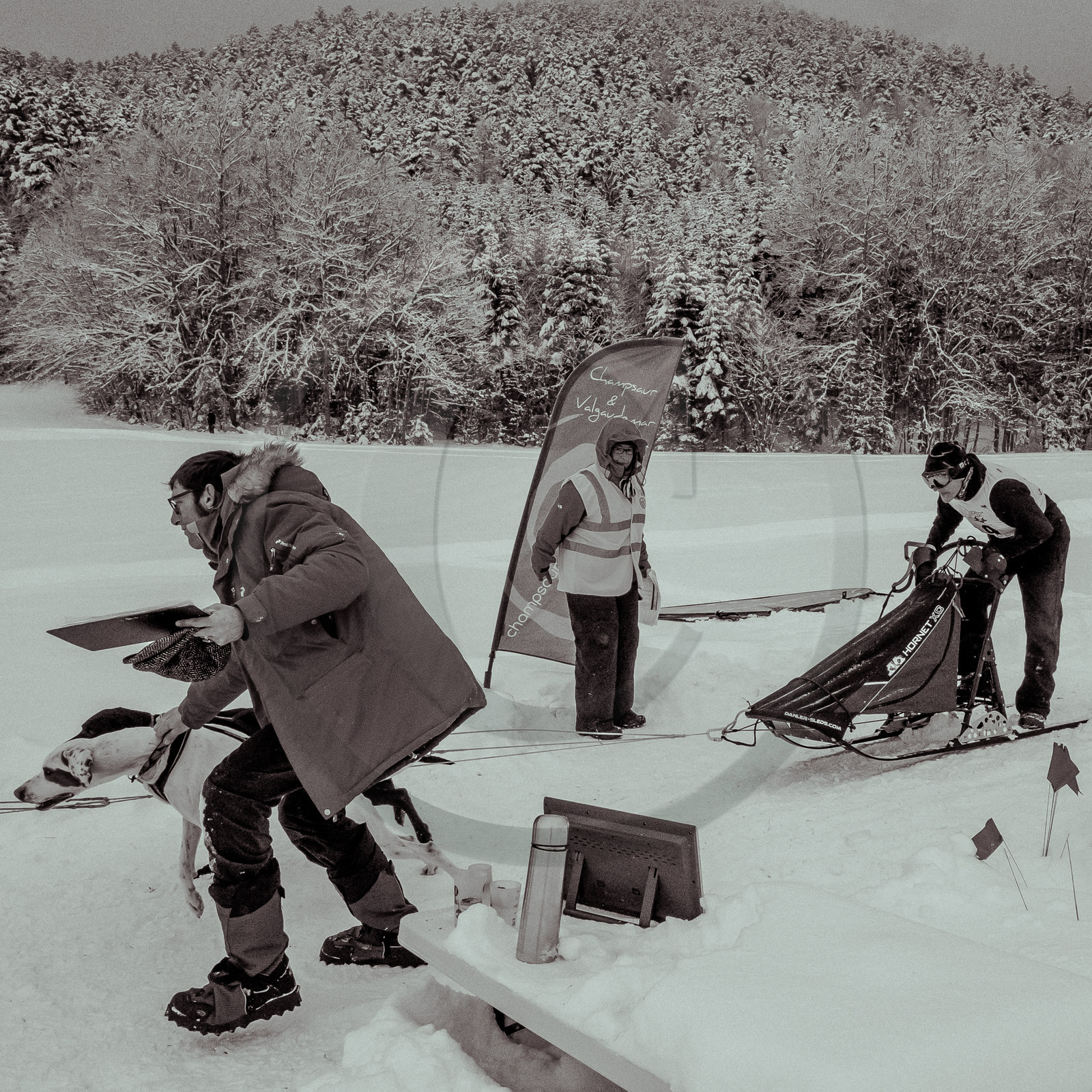La Valgaude Traineau 2015