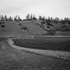 La plantation des pommes de terre