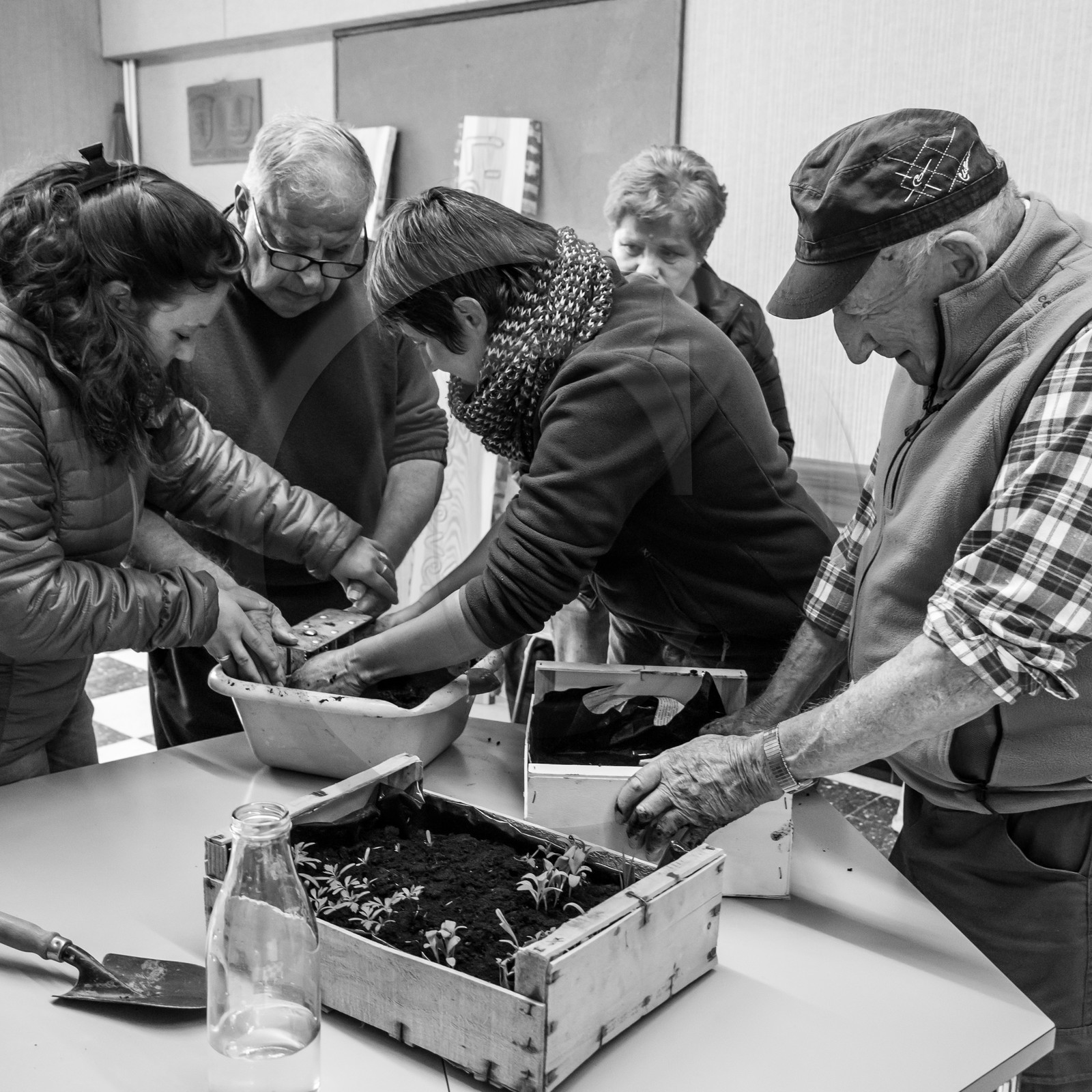 Atelier repiquage et semis - 26 04 2017