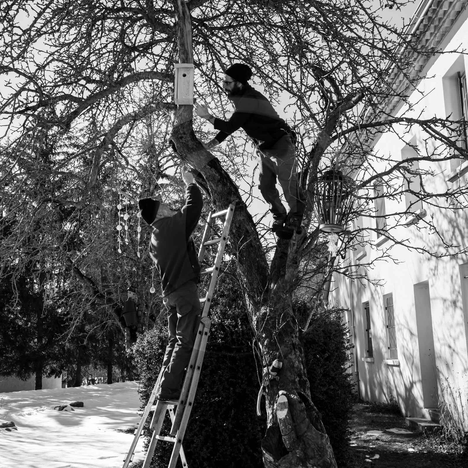 06 février 2019 : la pose des nichoirs