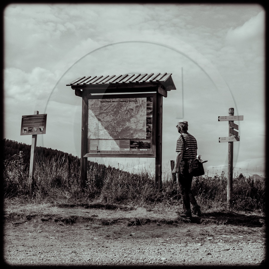 Promenade en forêt Promenade en forêt