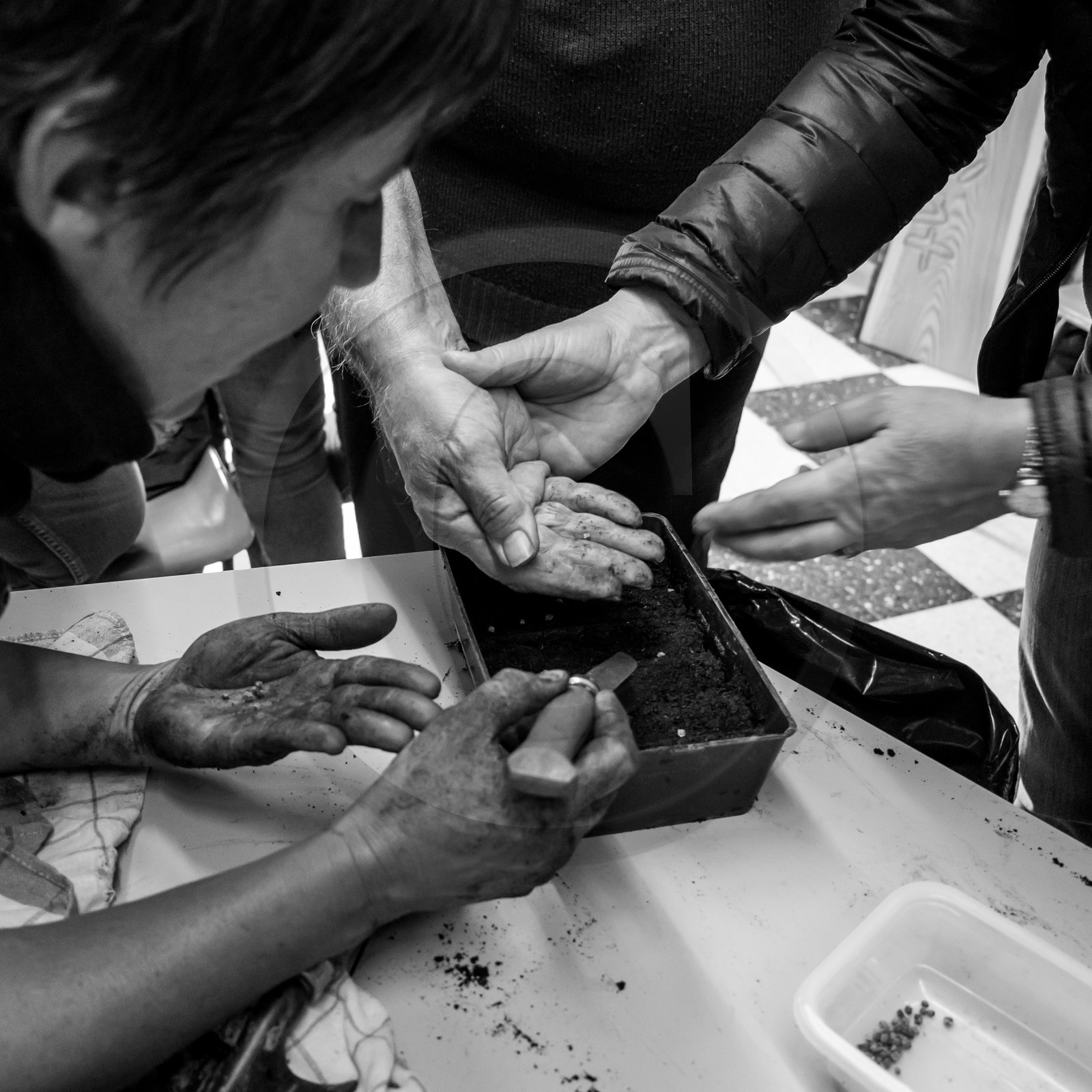 Atelier repiquage et semis - 26 04 2017