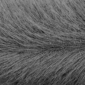 Elevage biologique de cochons en plein air