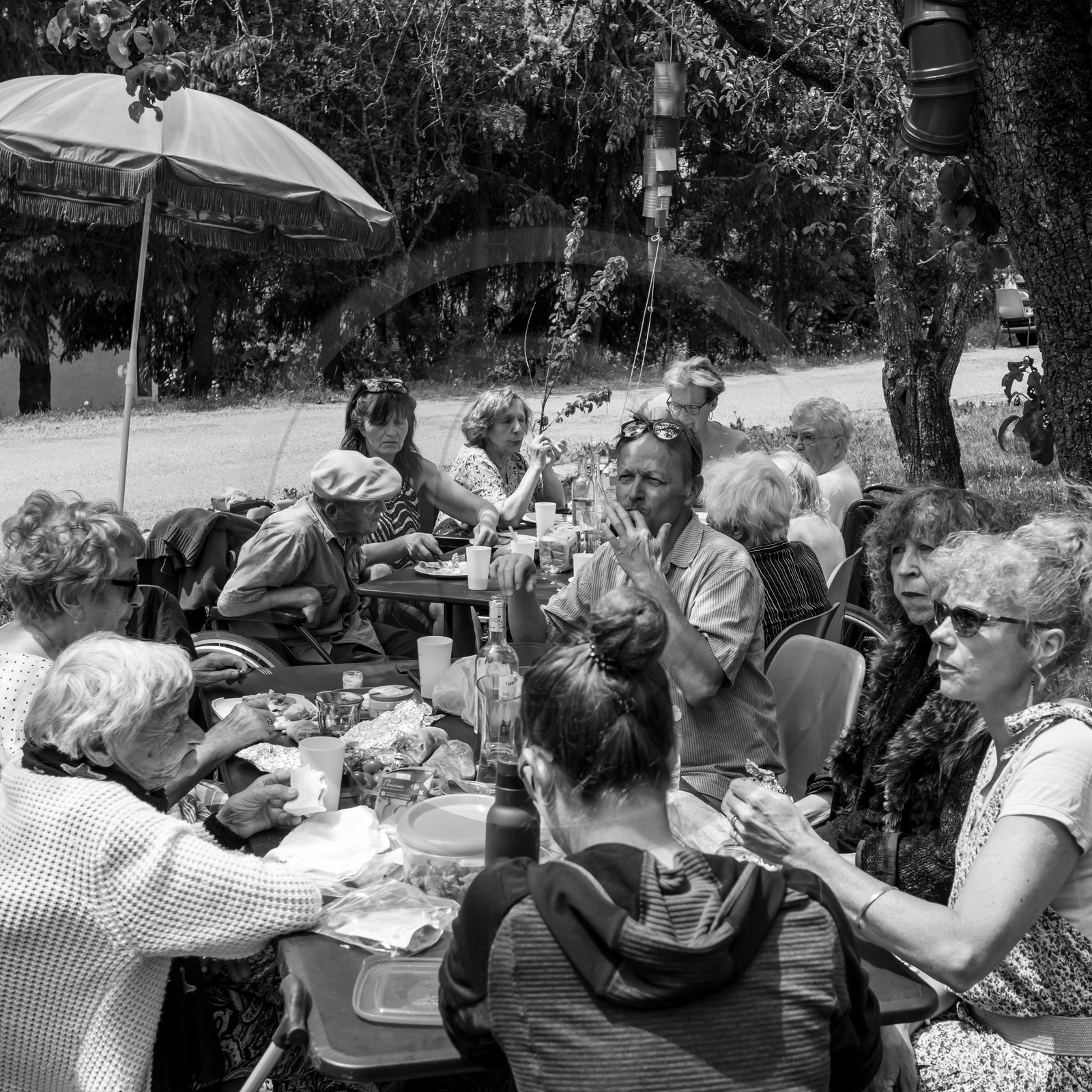 05 juin 2019 : Studio photo et promenade au jardin