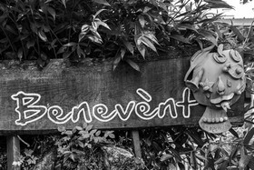 21 juin 2023 : Découverte botanique