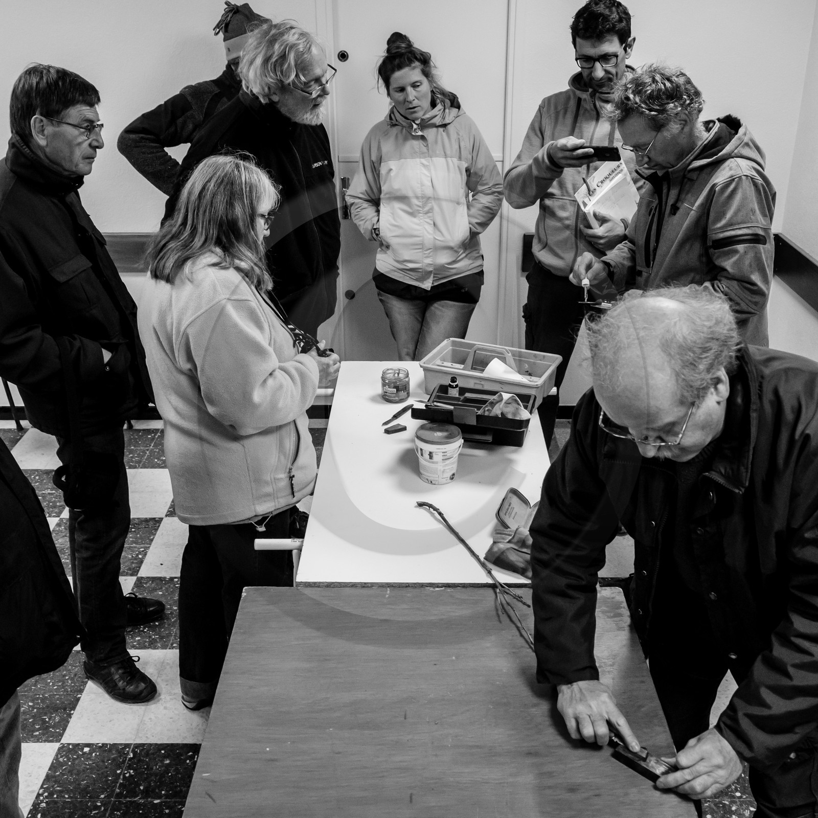 Greffe d'arbres Greffe d'arbres