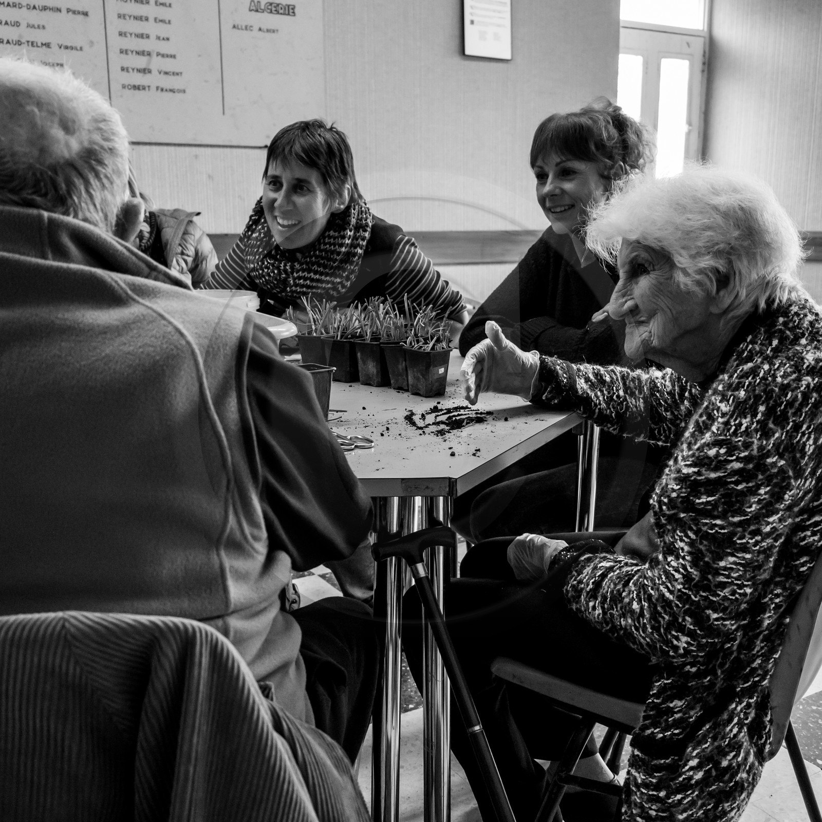 Atelier repiquage de plants de ciboulettes - 05 04 2017