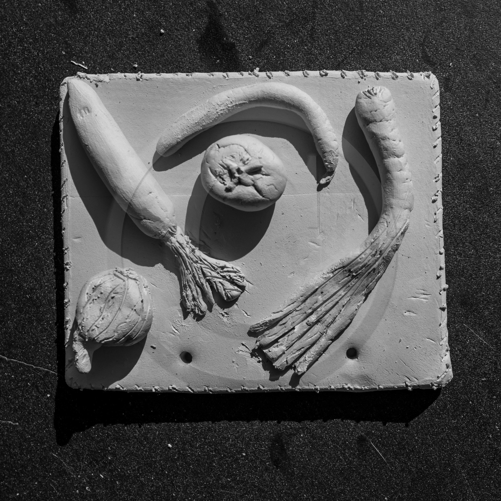 13 octobre 2021 : Un atelier terre et un anniversaire